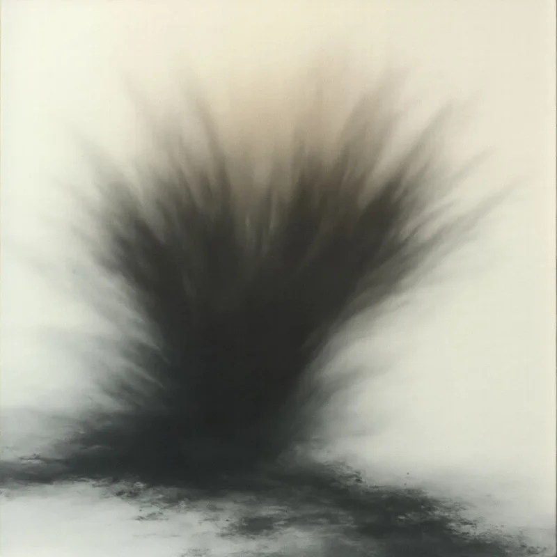 A dark, amorphous shape dominates the center of a pale background, resembling an explosion or spreading cloud. The edges are soft and blurred, with wisps extending outward from a dense core. A faint, similar form lies at the base, suggesting movement or continuation.