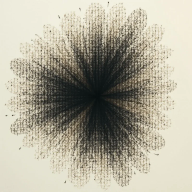 A dark, dense center radiates outwards into a textured, circular form. The shape appears to be composed of numerous small, individual marks that gradually thin and spread as they move away from the core. It resembles an explosion or blossoming flower against a pale background.